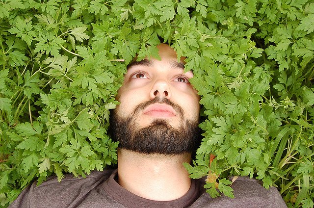 How Green SEOs Can Save the World