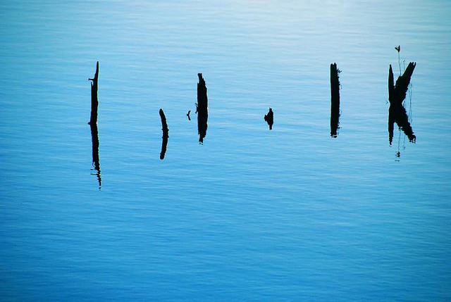 Blogging vs Writing 0-1