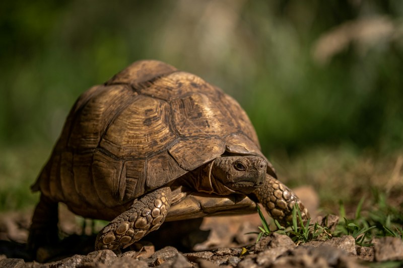 Your “Crawled -Currently Not Indexed” Message is not about SEO!